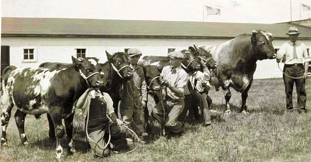 Stearns County Fair 1