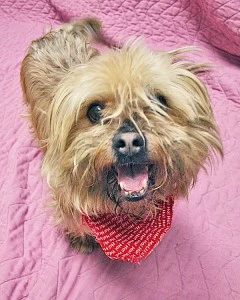 Ernie