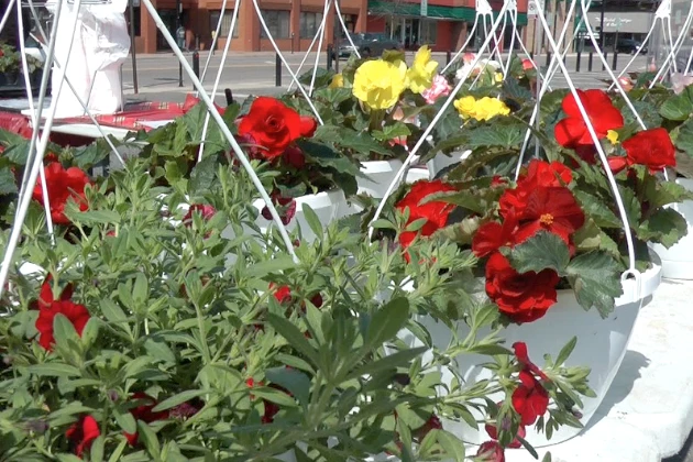 Farmers Market 2