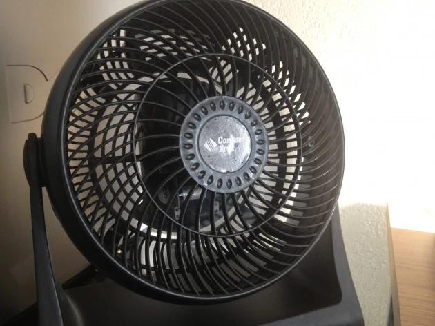 Fan