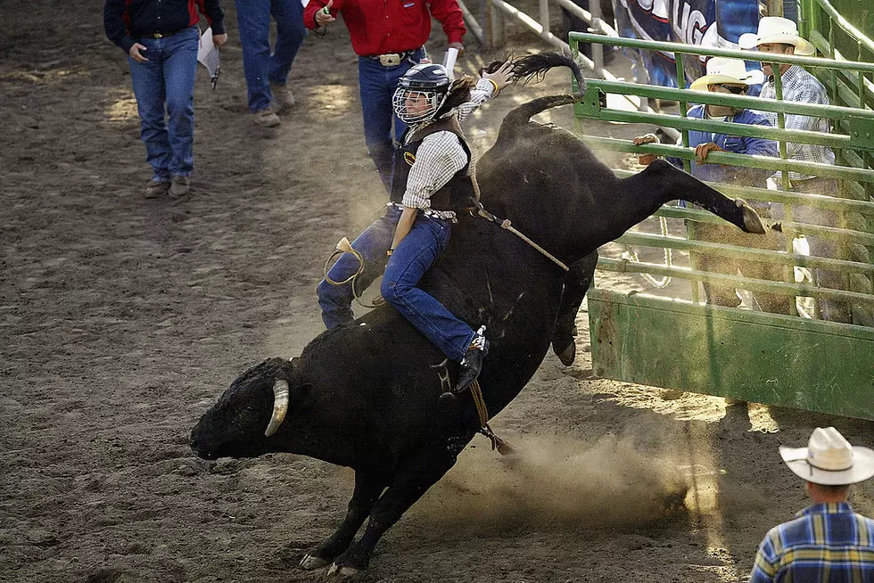 36th Annual Hamel Rodeo and Bull Ridin’ Bonanza