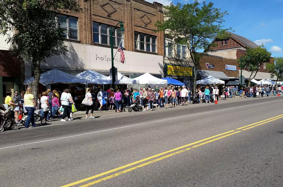 Little Falls Arts and Crafts Fair, photo courtesy of the Little Falls Chamber of Commerce