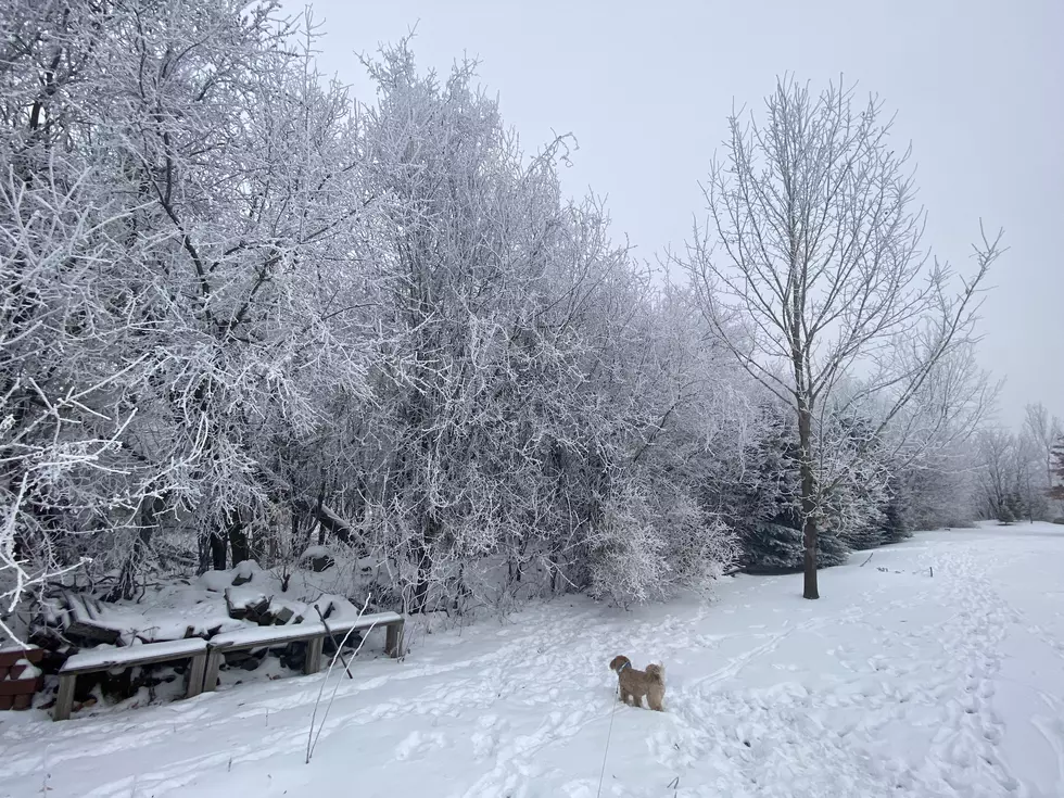 Frost Depths in Minnesota Deepest Since 2019