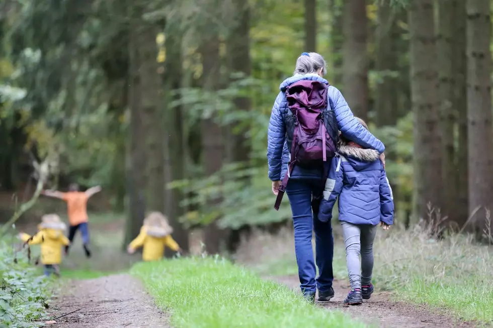 Free ‘First Day’ Hikes at Minnesota State Parks