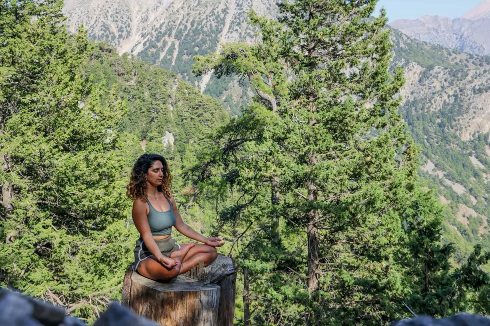 Minnesota is the Least Stressed State! But Why?