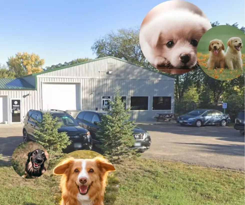 Local Pet Rescue Founder: After 14 Years Still ‘Blown Away’ By The Support
