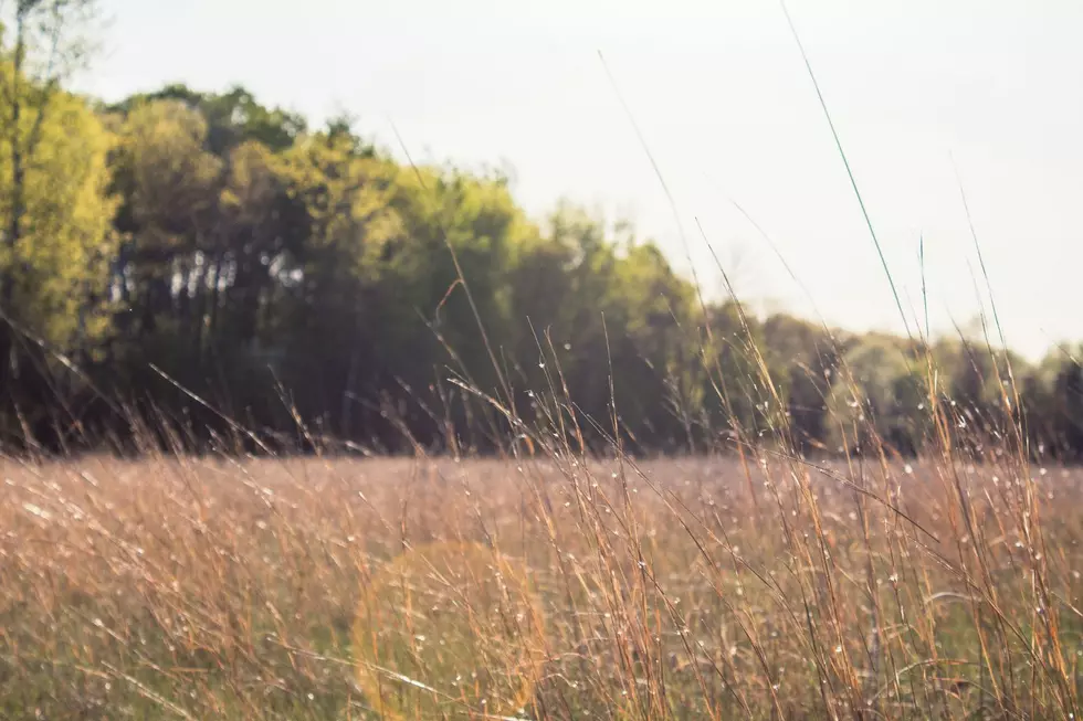 Local Parks Director To Be Featured on CBS Sunday Morning