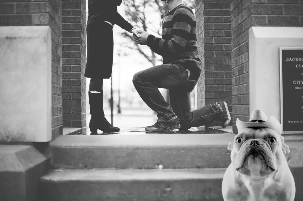 Wanna Propose at Target Field? Here’s What It’ll Cost You