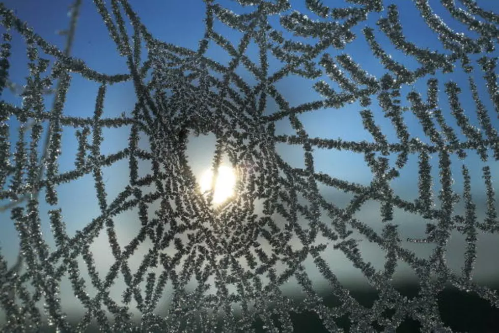 Frost Adds to Farmers’ Woes