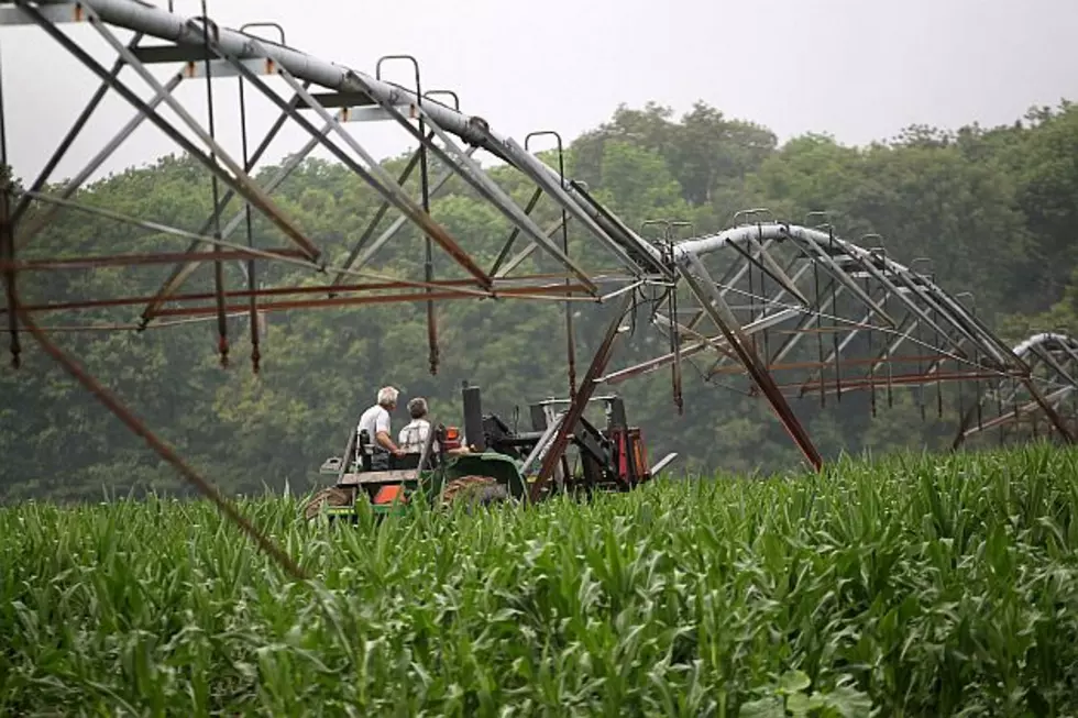 Conservationists Claim Victory on New Farm Bill