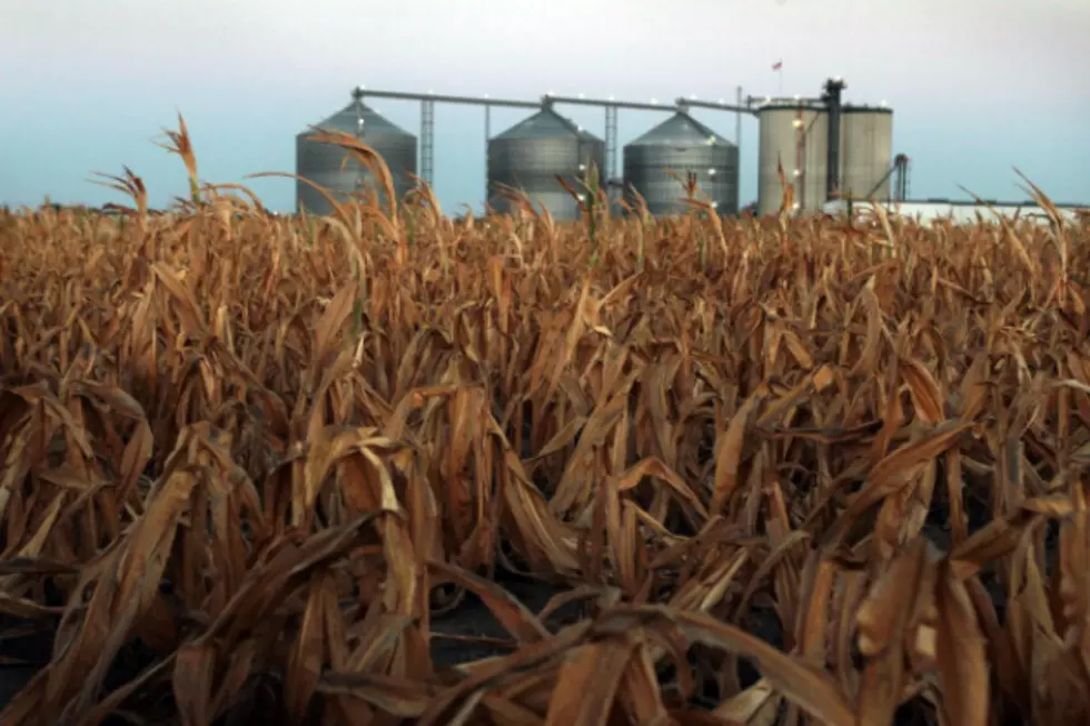 Pump Failure Caused Minnesota Ethanol Plant Fire