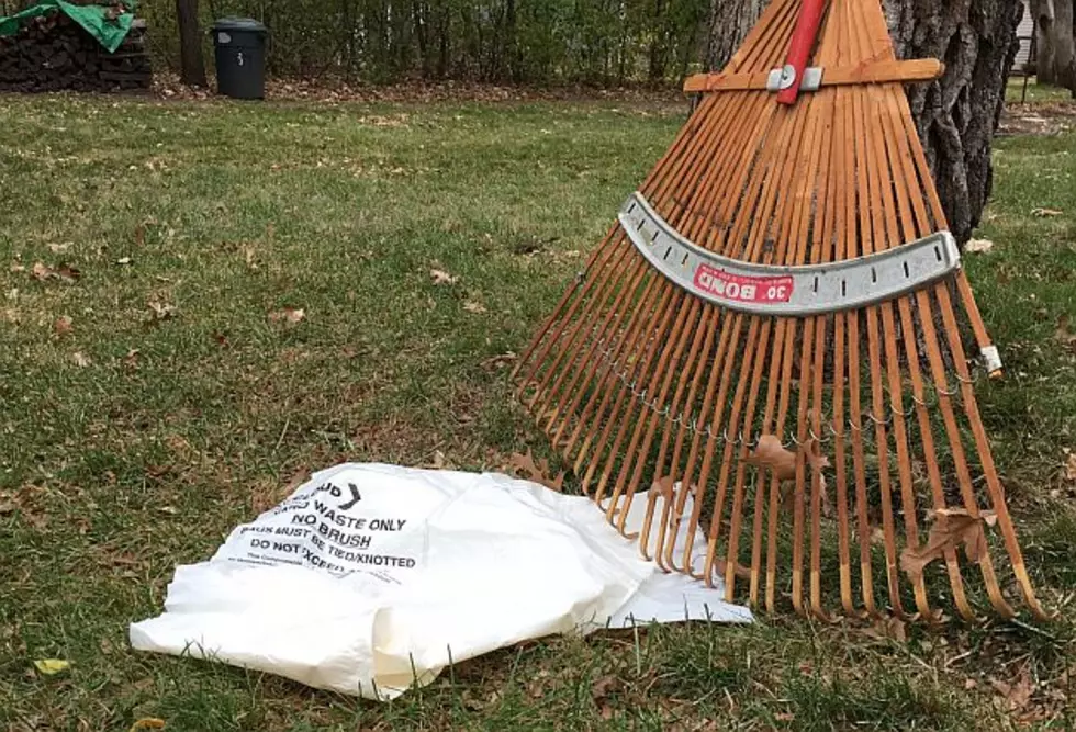 What St. Cloud Residents Can Do With Yard Waste
