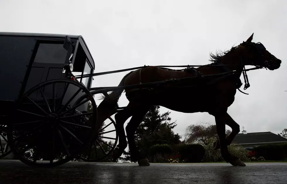 Minor Injuries In Crash Involving Horse and Buggy