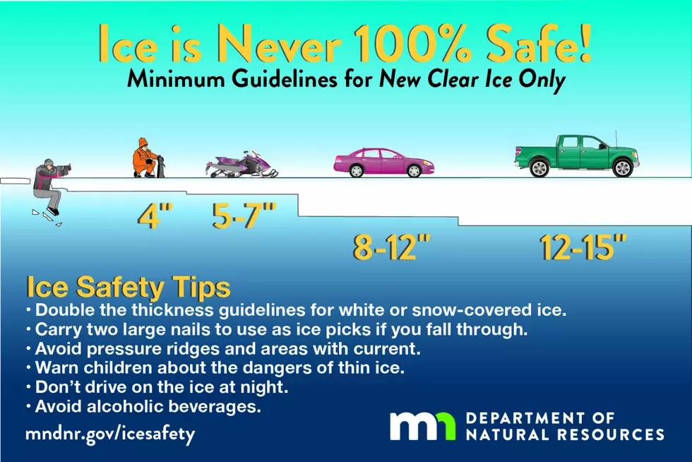 Minnesota Department of Natural Resources