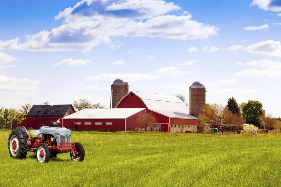 Minnesota Farmers Struggling to Navigate Pitfalls