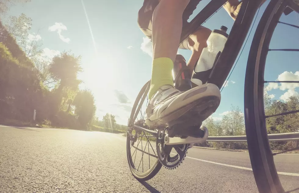 Bike Trail Concept Plans Continue for Sauk River Regional Park
