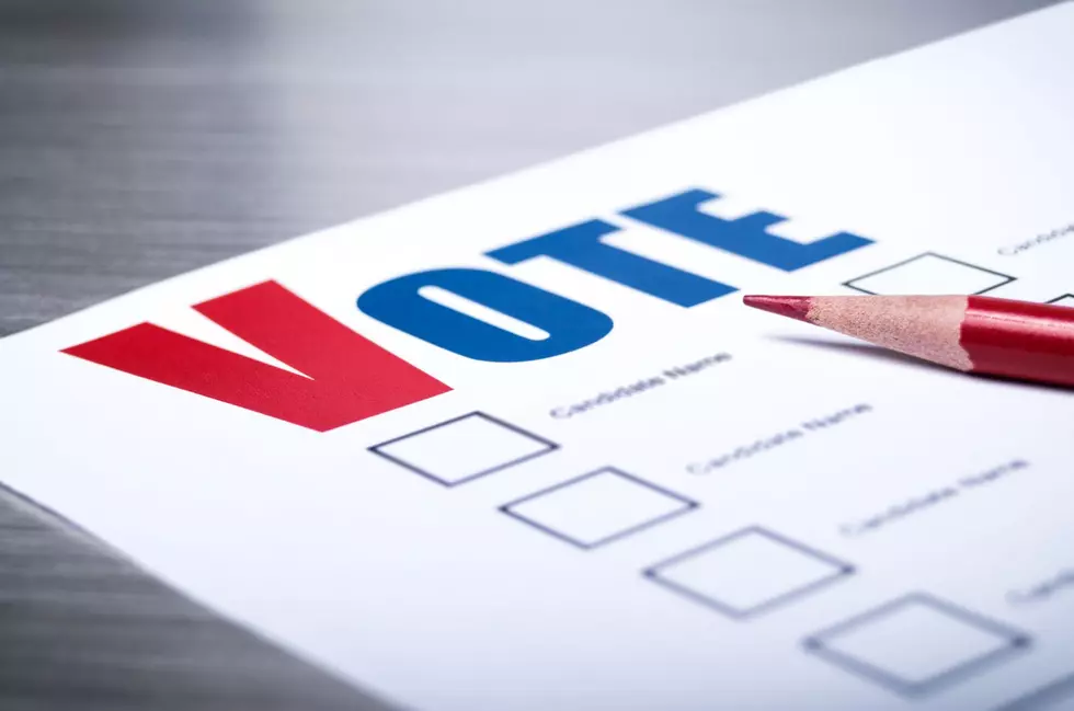 Special Election Set to Replace Central Minnesota Representative