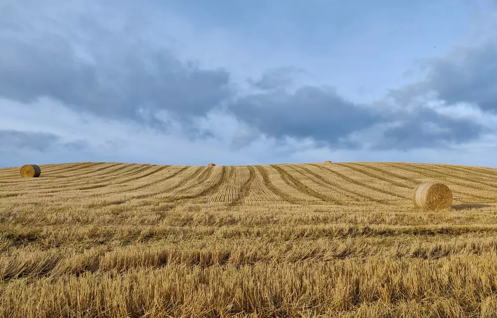 Central MN Farmers Weathering Drought Conditions as Best They Can