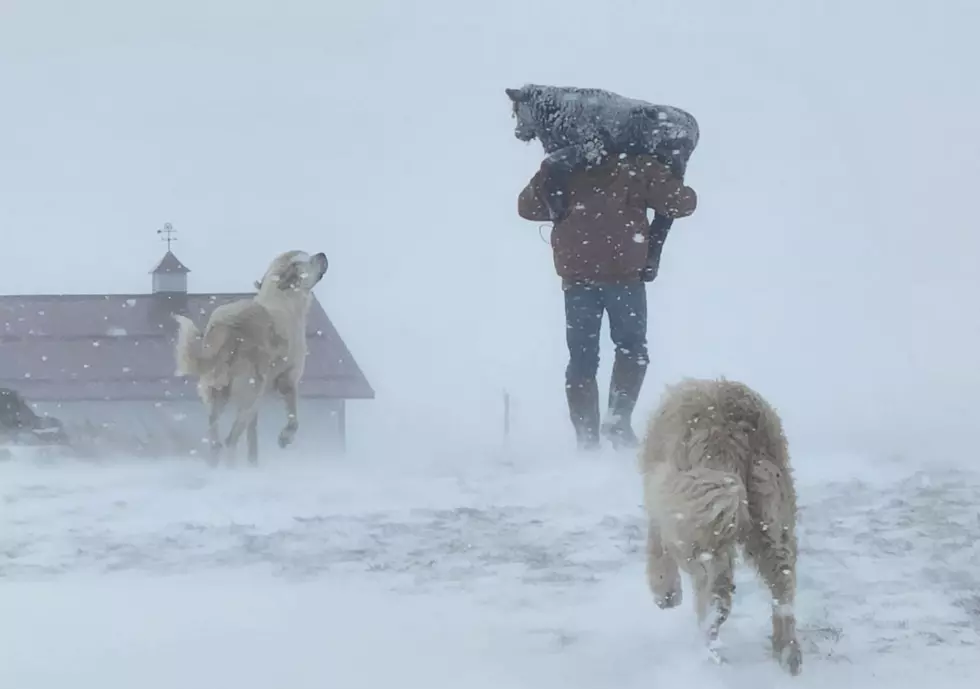 Snow Disaster Leads to Loans for Farmers