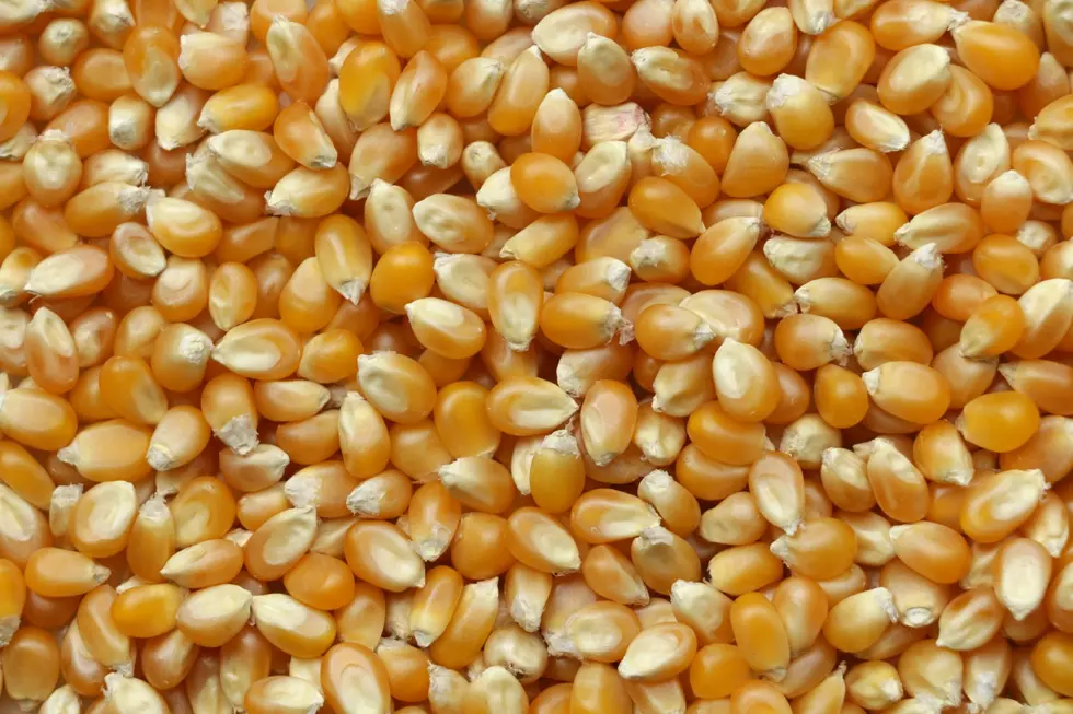 Grain Prices Continue to Move Higher