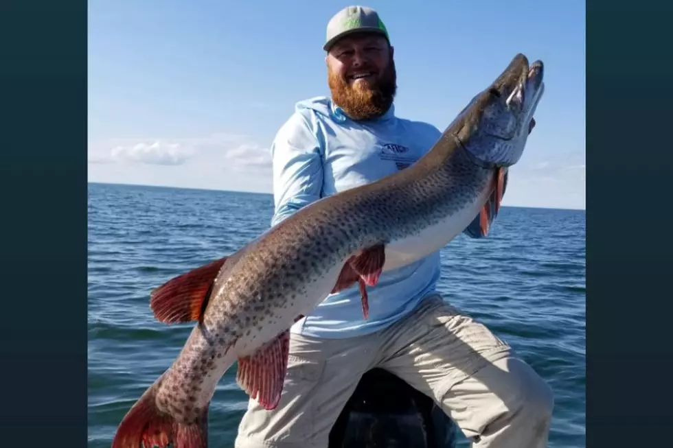 Minnesota DNR Extends Muskie Long-Range Plan Comment Period