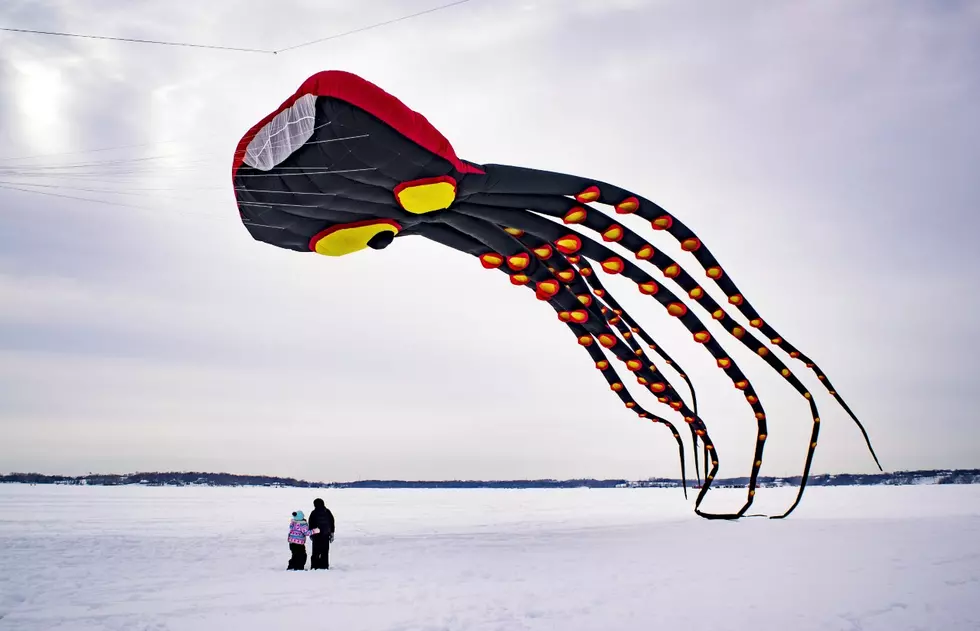 Kites On Display Over Buffalo Lake This Saturday