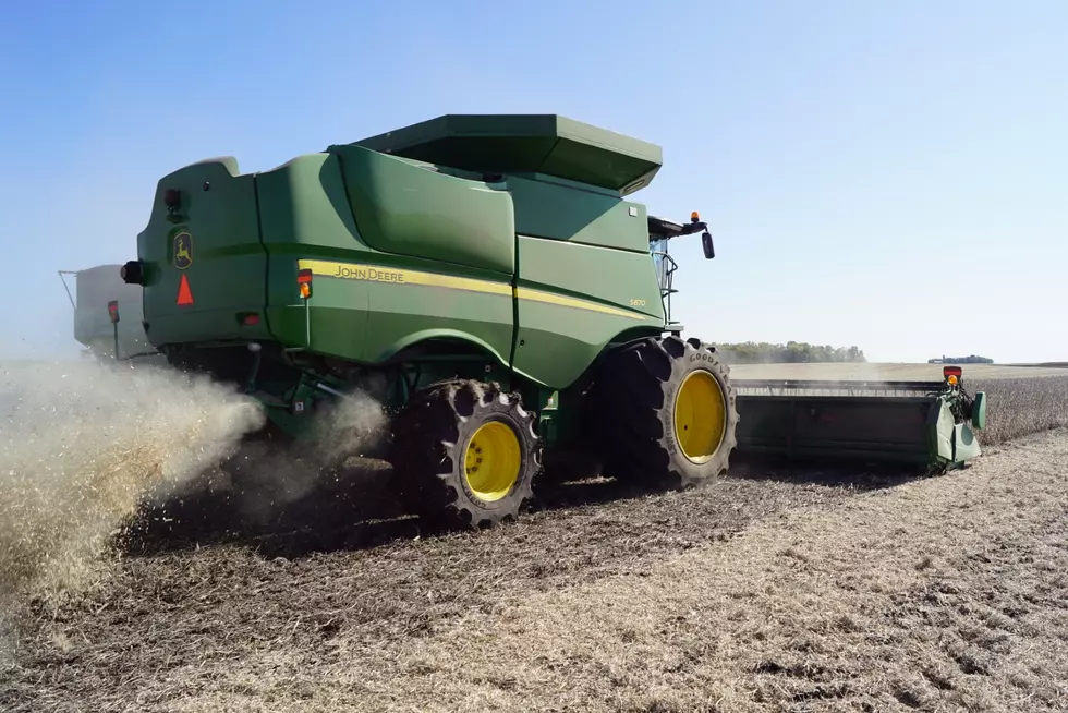 Unexpected Grain Stock Increases Leave Farmers Feeling Uneasy