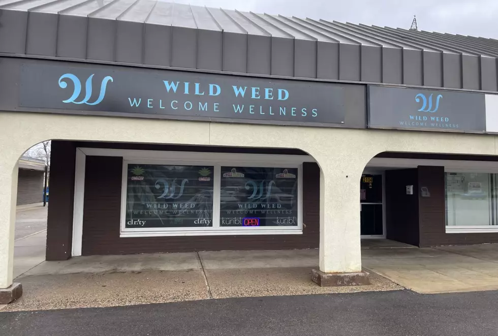 St. Cloud’s Wild Weed Faces City Council Hurdles For Cannabis Sales