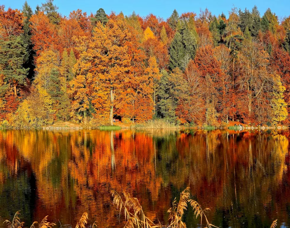 Survey Says: Minnesotans Battle Autumnal Blues with Fall Fun