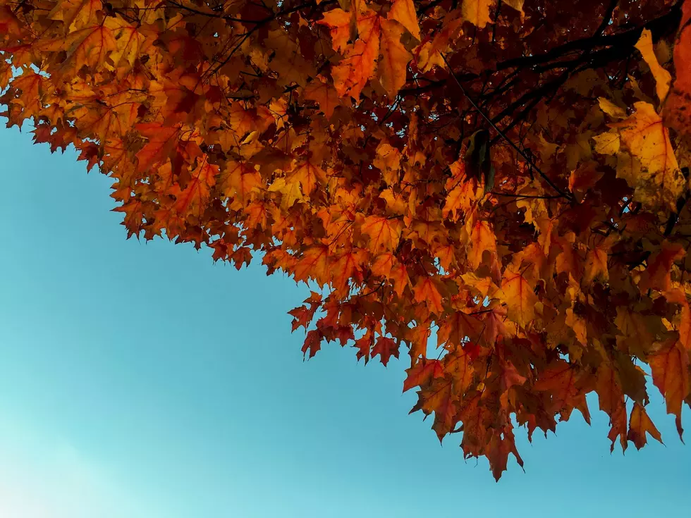 Catch The Best Fall Colors On Minnesota’s Scenic Drives