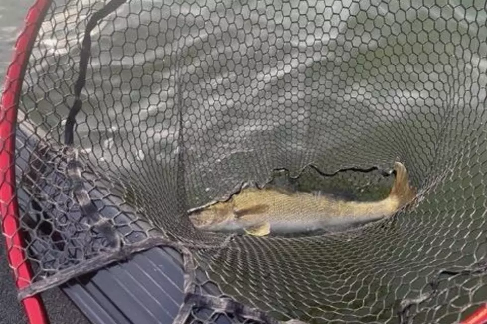 Get Ready For Walleye Fishing With Essential Tips From Glen Schmitt