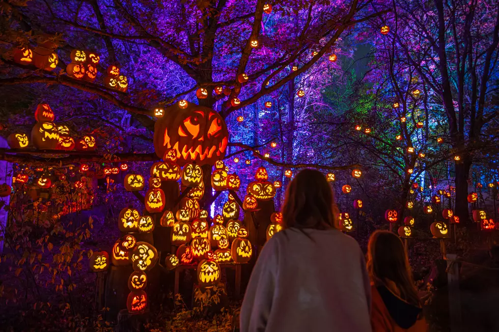Halloween Spectacular at the Minnesota Zoo (photo courtesy of Explore Minnesota)