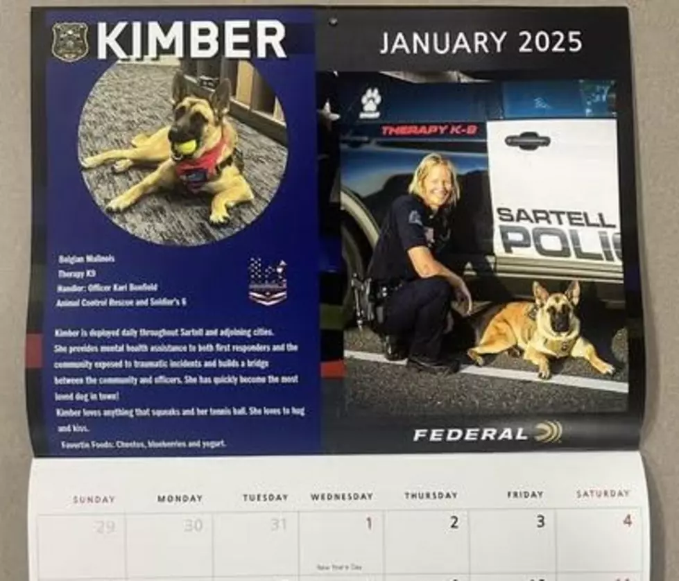 Meet Kimber, The Sartell Police Department’s K9 Calendar Girl