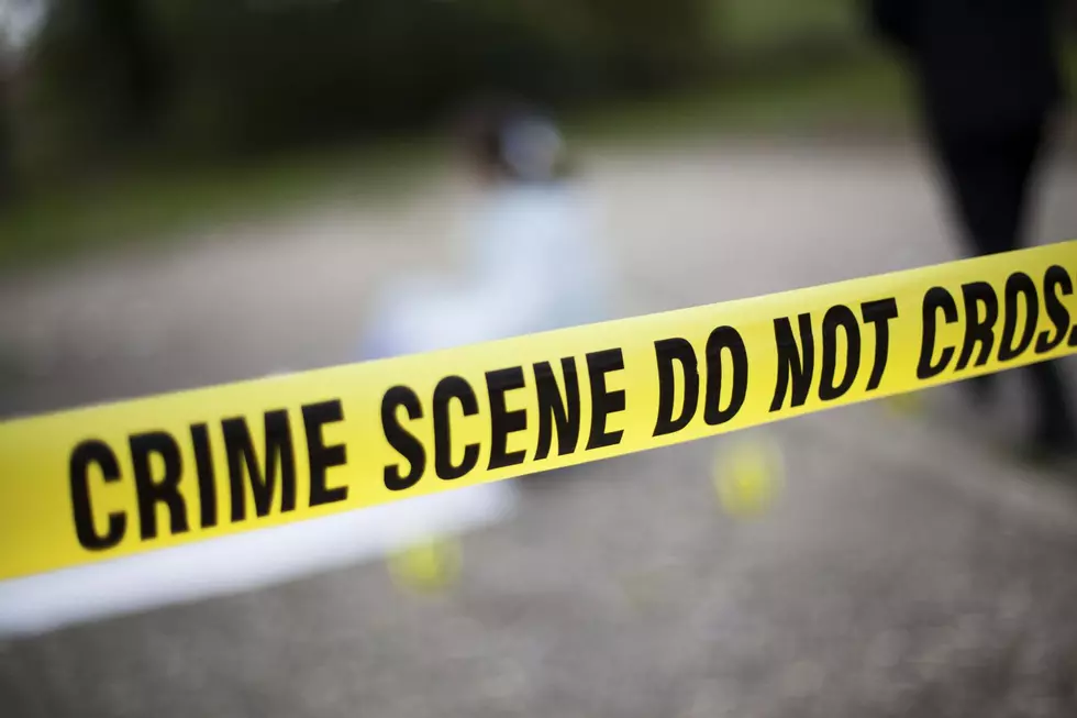 Minnesota BCA Release 2024 Crime Report