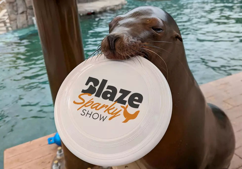 Catch the Legendary Blaze Sparky Show at Como Zoo