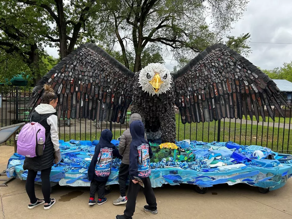 Experience the Bald Eagle Made from Beach Trash at Como Park Zoo