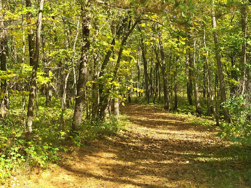 Getting Outdoors in Minnesota Could Land You Free Camping