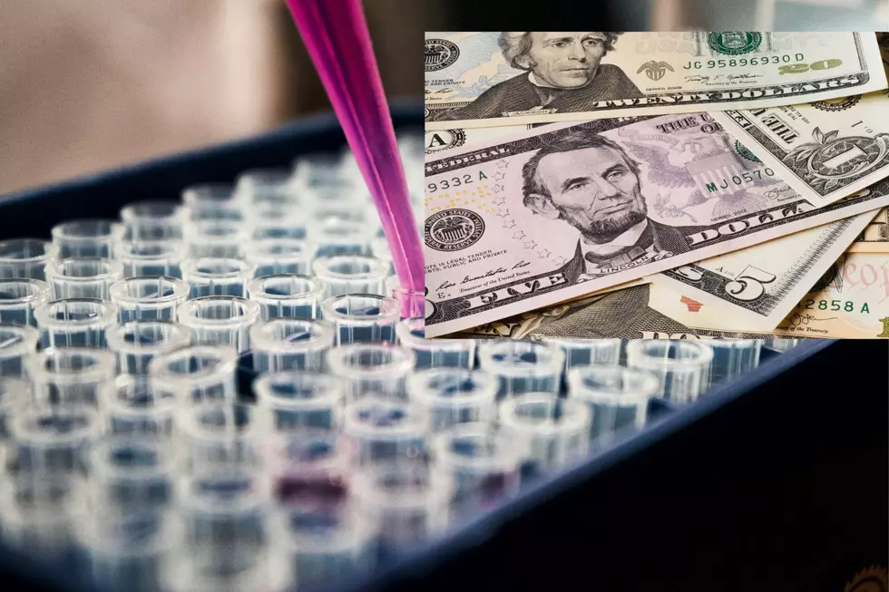For Some Minnesotans, This Could Be A Different Kind of Side Hustle