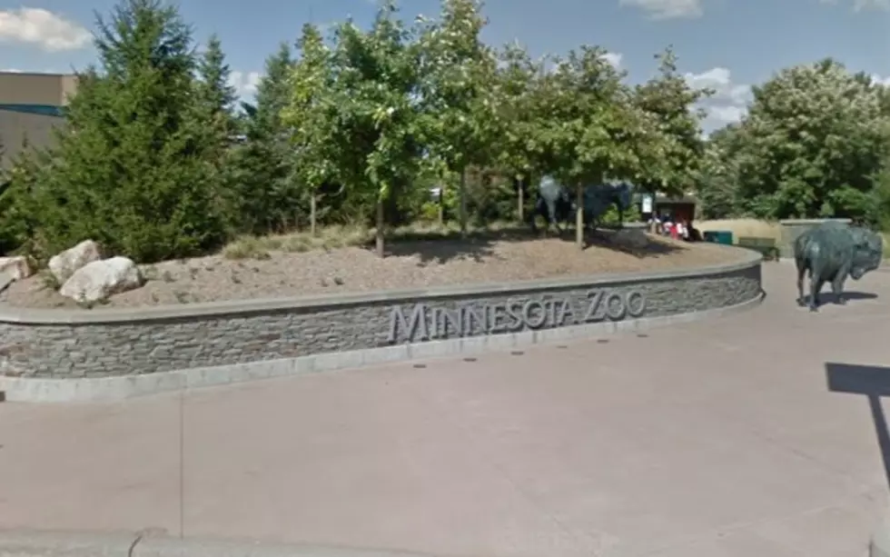 The Minnesota Zoo Will Be Happening Place This Saturday!